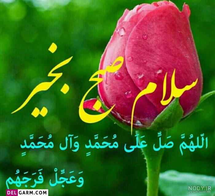 عکس سلام صبح بخیر جدید عکس سلام صبح بخیر جدید