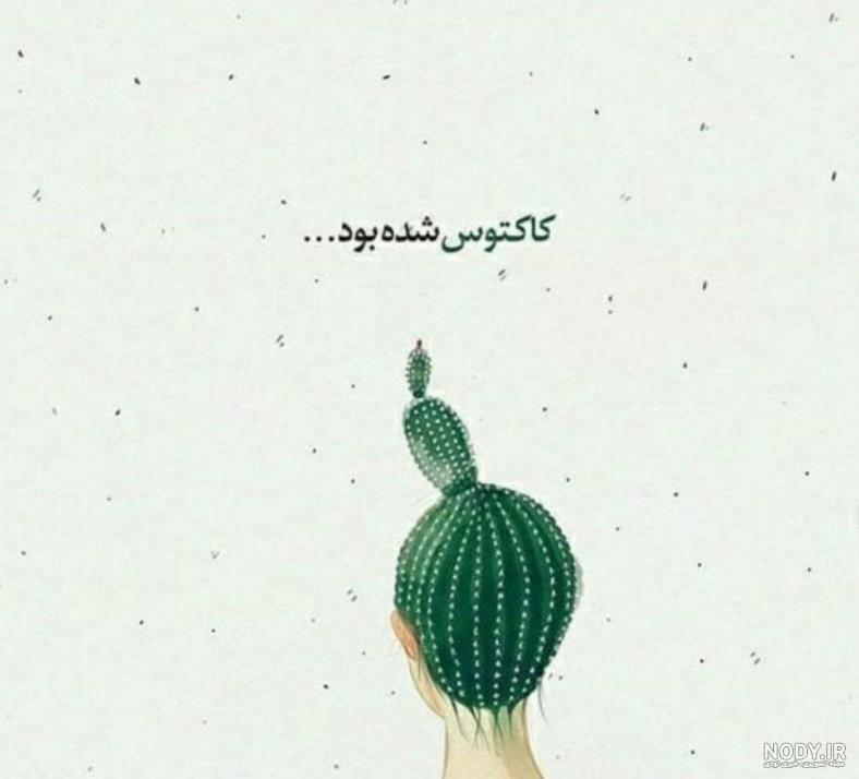 عکس کاکتوس رنگی عکس کاکتوس رنگی