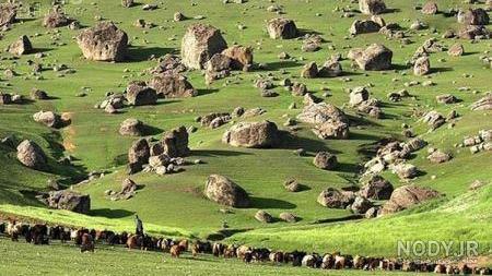 متن لری دلتنگی