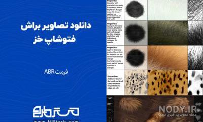 پترن خز پترن خز