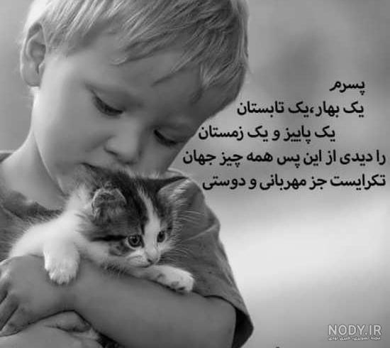 پسر داشتن یعنی خوشبختی
