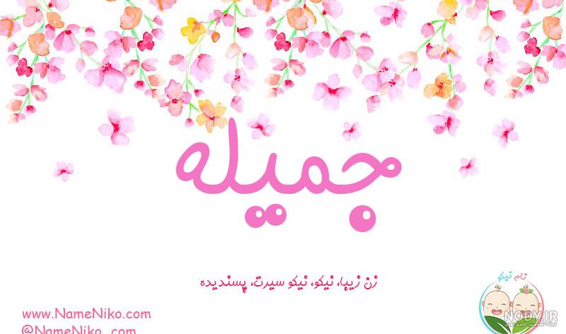 کلیپ جمیله جان تولدت مبارک کلیپ جمیله جان تولدت مبارک