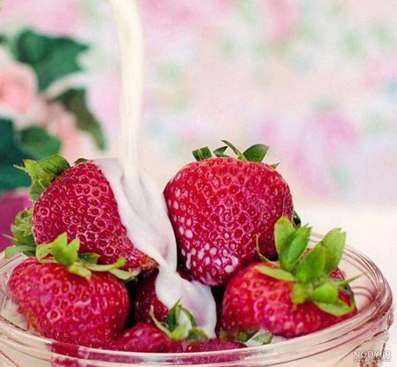 اسم برای گروه آشپزی اسم برای گروه آشپزی