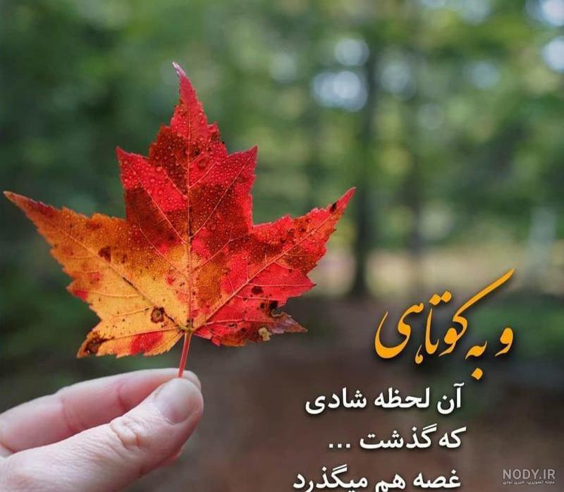 به حباب نگران لب یک رود قسم خسرو شکیبایی