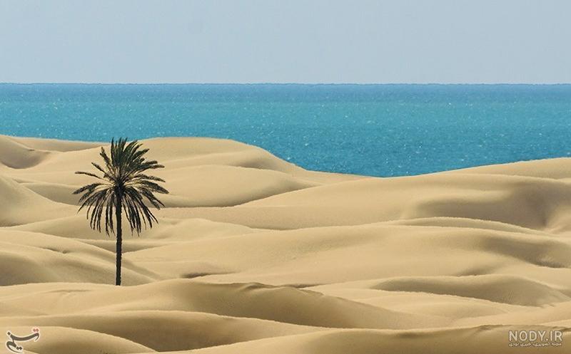 تفریحات جزیره کیش