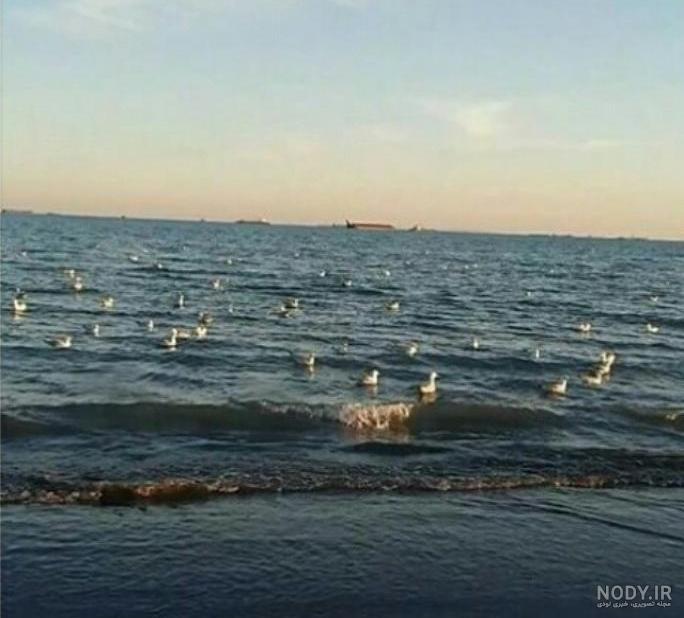 جمعیت جزیره کیش در سال 1399