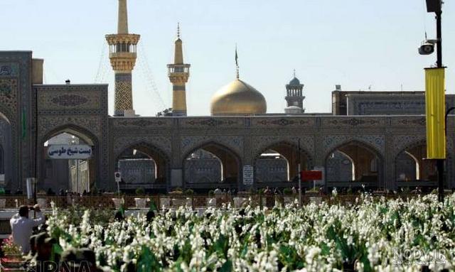 عکس از گلباران حرم امام رضا عکس از گلباران حرم امام رضا