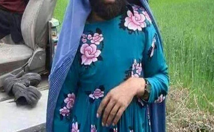 عکس طالبی میوه عکس طالبی میوه