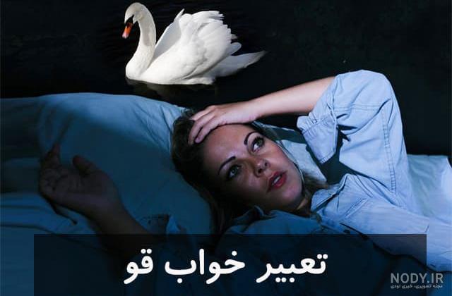 عکس قو برای تصویر زمینه عکس قو برای تصویر زمینه