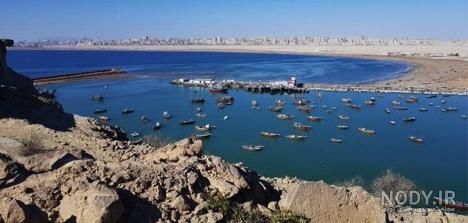 عکس ماهی دریای جنوب