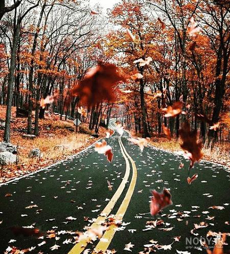 عکس پاییز دلگیر عکس پاییز دلگیر