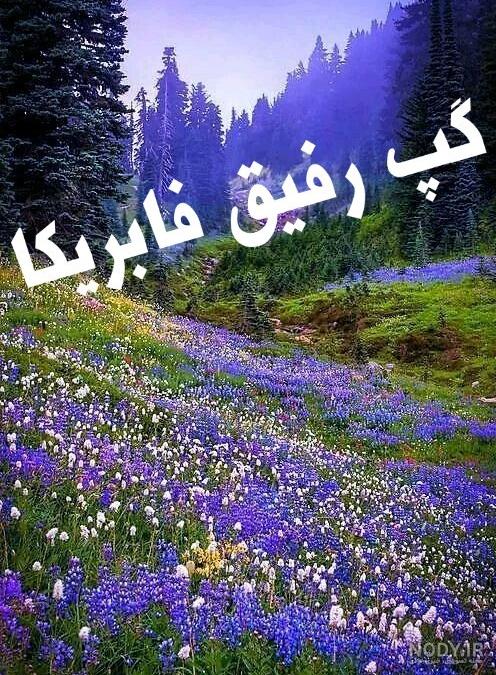 عکس پروفایل گروه فامیلی