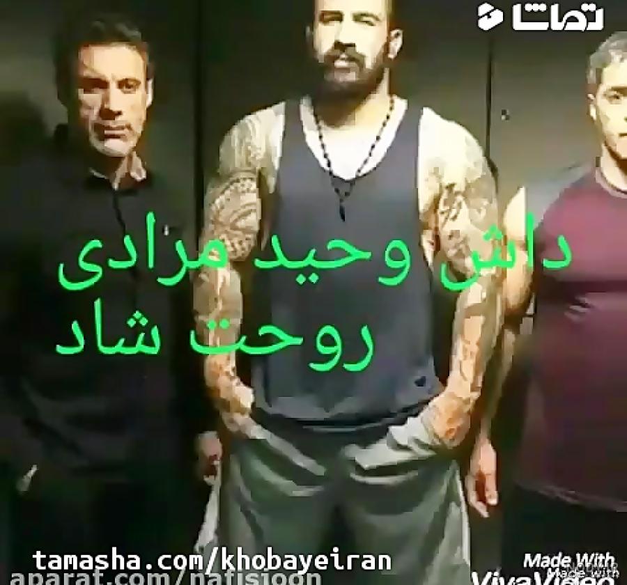 همسر وحید مرادی اهل کجاست همسر وحید مرادی اهل کجاست