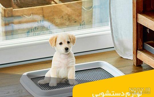 وسایل سگ جیبی وسایل سگ جیبی