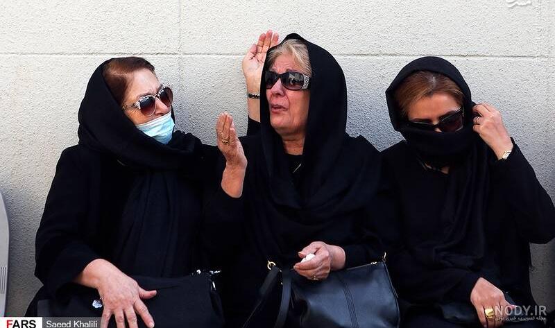 اشکان قاسمی ویکی پدیا