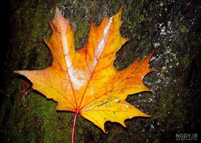 تصویر زمینه پاییزی فانتزی