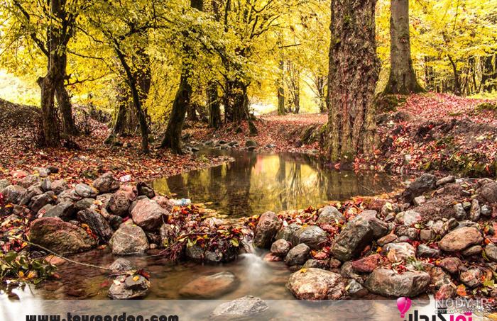 جمله با autumn