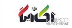 دانلود عکس میمون دانلود عکس میمون