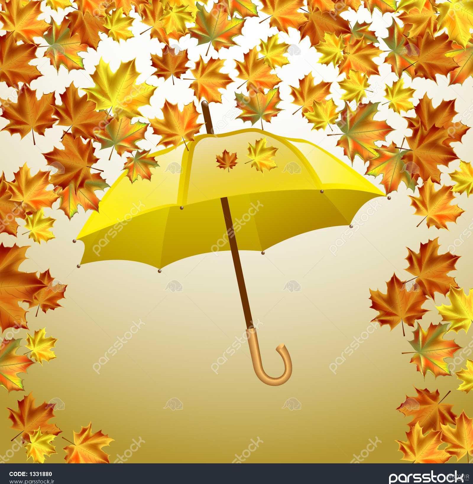 زیباترین عکس پاییزی دنیا