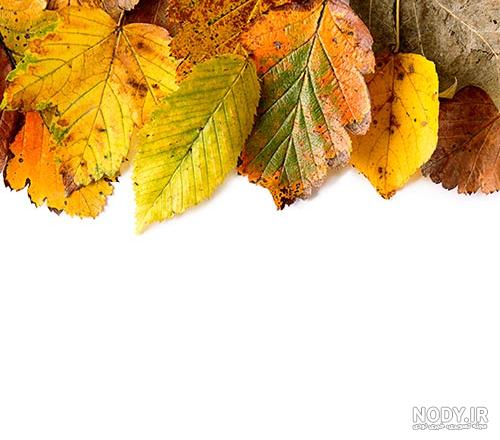 زیباترین عکس پاییزی دنیا زیباترین عکس پاییزی دنیا