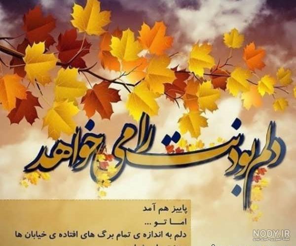 عکس باران پاییزی در شب عکس باران پاییزی در شب