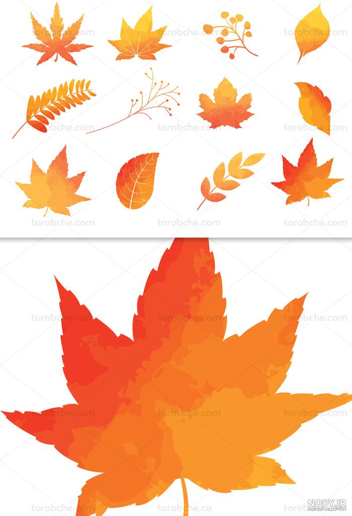 عکس برگ پاییزی عکس برگ پاییزی