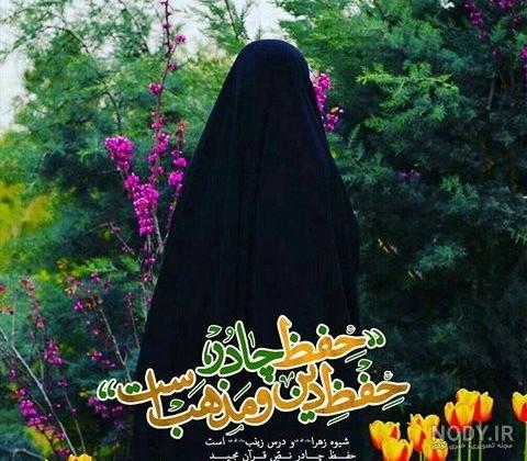 عکس دختر چادری در حرم امام رضا عکس دختر چادری در حرم امام رضا