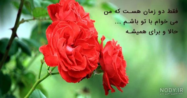 عکس طبیعت بهاری شمال عکس طبیعت بهاری شمال