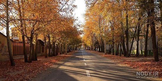 عکس غروب پاییز برای پروفایل