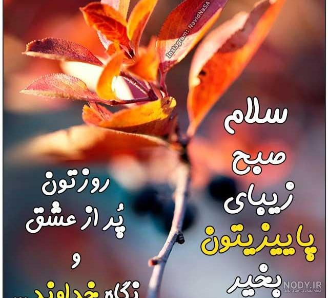 عکس پاییز با کیفیت بالا عکس پاییز با کیفیت بالا
