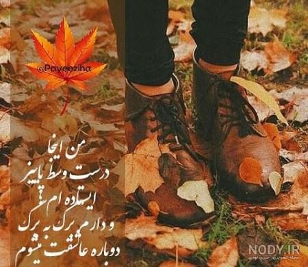 عکس پاییز برای پروفایل واتساپ عکس پاییز برای پروفایل واتساپ