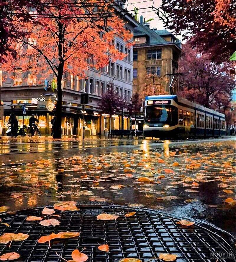 عکس پاییز دلگیر