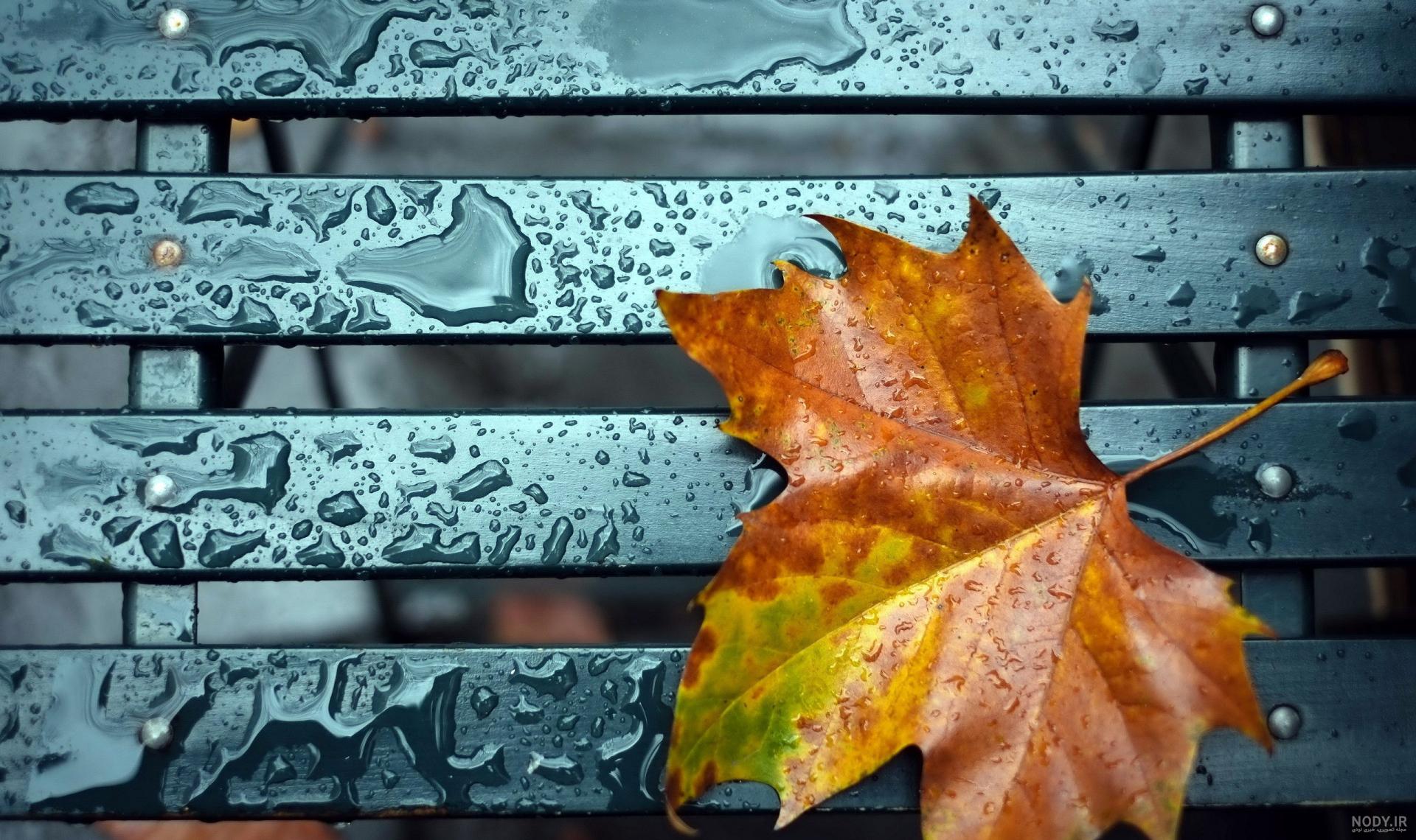 عکس پاییزی غمگین