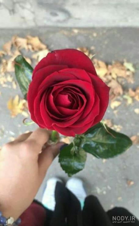 عکس پروفایل دخترونه فانتزی عروسکی با حجاب عکس پروفایل دخترونه فانتزی عروسکی با حجاب