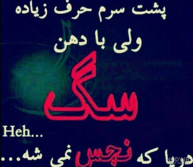 عکس پروفایل پشت سرم