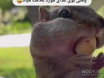کانال خنده بازار کانال خنده بازار