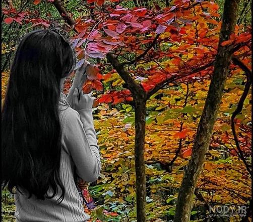 عکس برگ پاییزی با کیفیت بالا