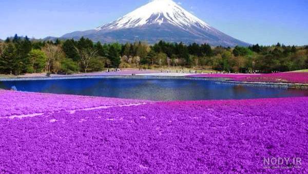 عکس های جاهای دیدنی ژاپن