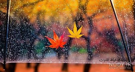 عکس های زیبا از پاییز عاشقانه