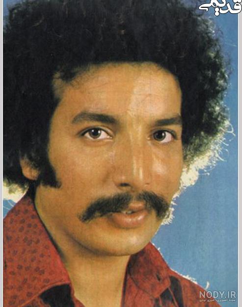 همسر بهمن مفید