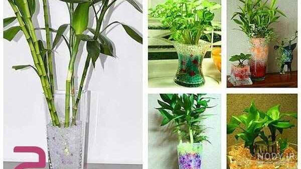 آموزش ساخت خاک ژله ای