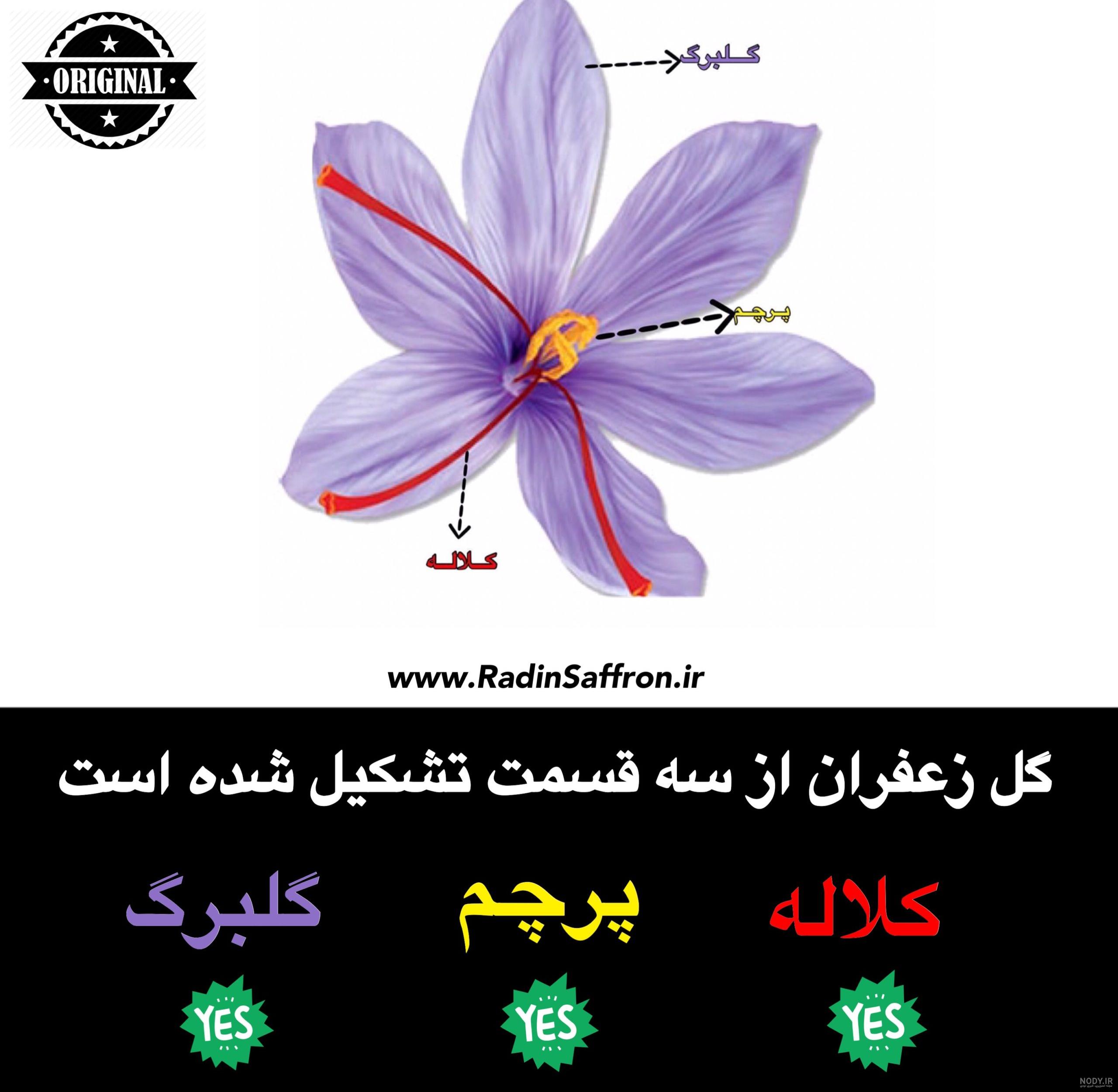 برچه گل برچه گل