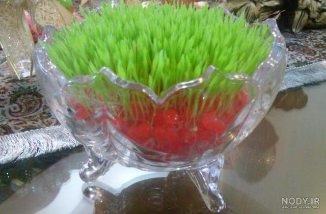 بزرگترین خاک ژله ای