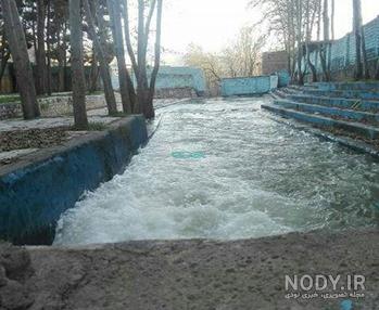 جانی هرسین که بود؟؟