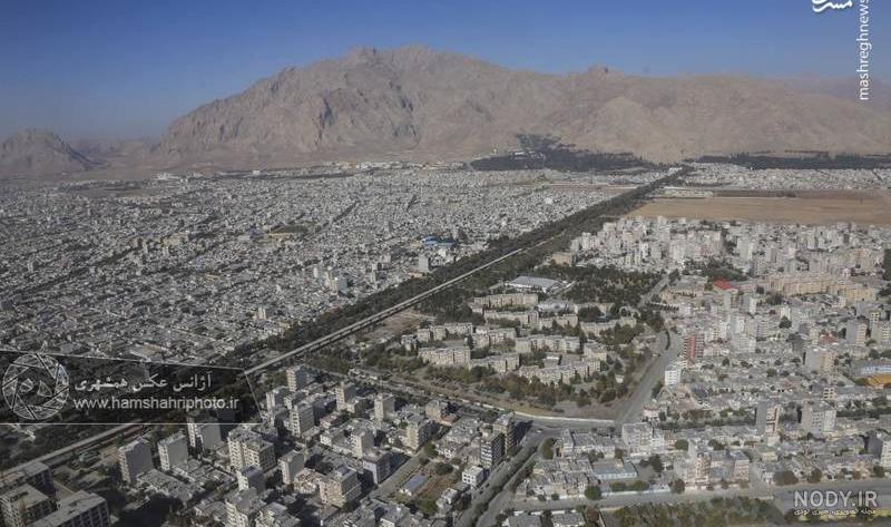 جانی هرسین کیست