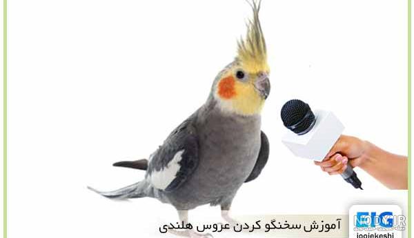 حرف زدن طوطی گرینچیک