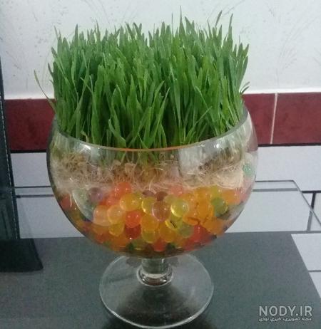 خاک ژله ای تک رنگ