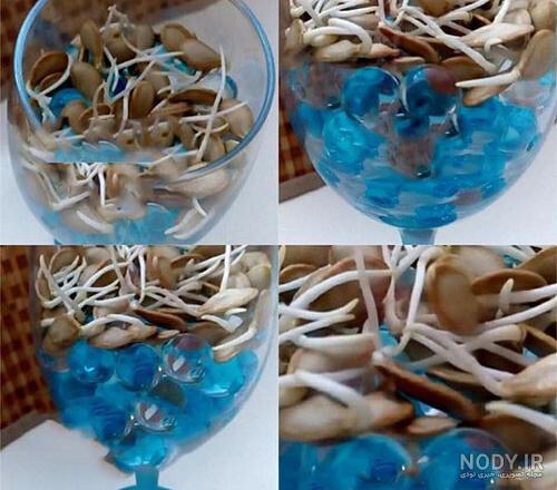 خاک ژله ای را در چه ابی بریزیم