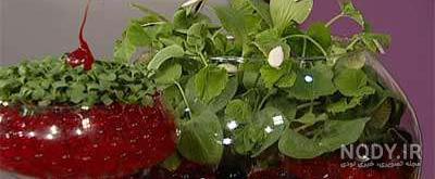 علت کوچک شدن خاک ژله ای