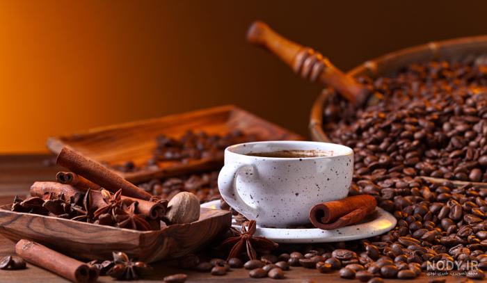 عکس با کیفیت اسب قهوه ای